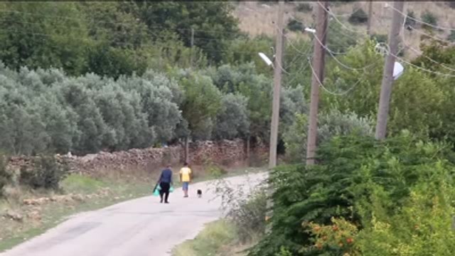 Gökçayır Köyünde Kuduz Kuduz Karantinası
