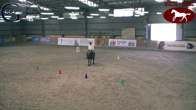 Mistrzostwa Polski w jeździe bez ogłowia 2016-09-10 i 11 Wrocław