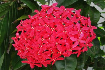 찜알바주소』일하자알바 bar알바 일산고소득알바 술집알바