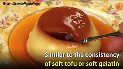 Esto es lo que es capaz de hacer el cerebro humano