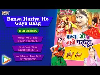 Bansa Hariya Ho Gaya Baag | Sarita Kharwal Vivah Song | Marwadi DJ Remix Song
