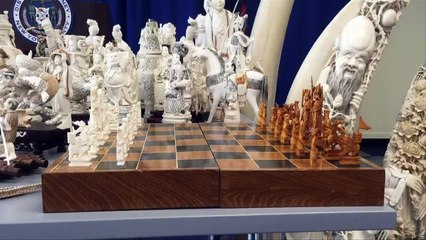New York seizes $4.5 mn worth of elephant ivory items