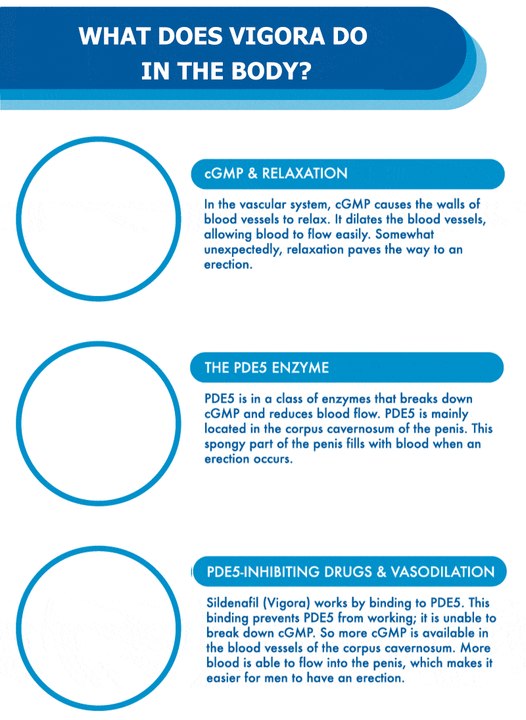 What Does Vigora Do In The Body?