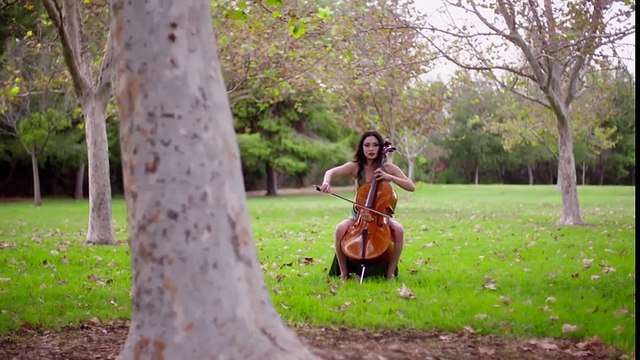 The Last of the Mohicans Main Theme - Tina Guo