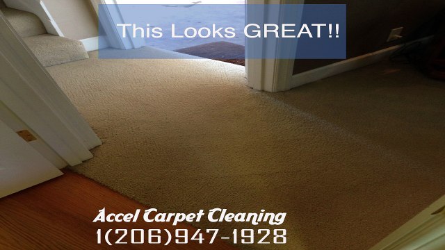 seattle carpet cleaning service