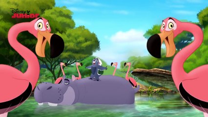 The Lion Guard | Its UnBungalievable: Whos Hungrier? | Disney Junior UK