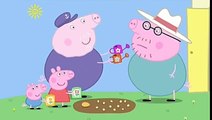 Peppa Pig English Episodes Season 4 Episode 12 Peppa and Georges Garden Full Episodes 2016