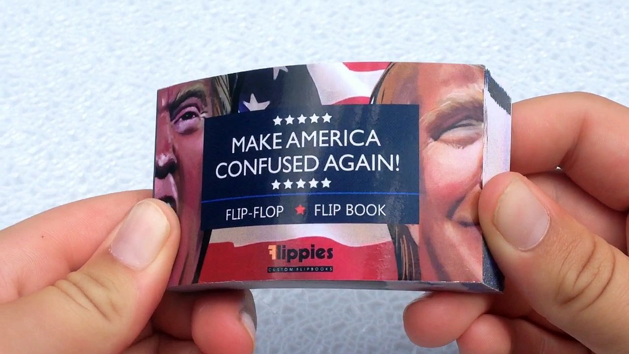 ELECTION 2016 FLIP BOOK