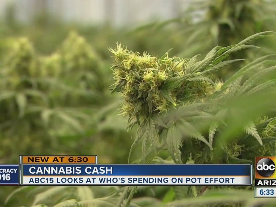 Who is donating to fight over legalizing recreational marijuana in Arizona?