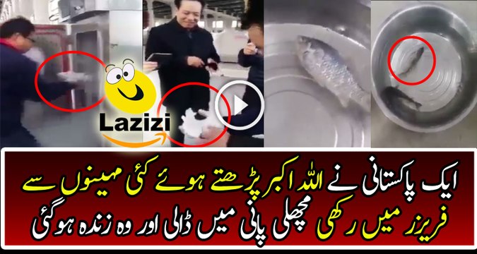 A Freezed Fish Come Alive When Poured into Water