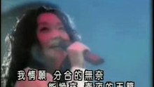 我期待-张雨生与陶子