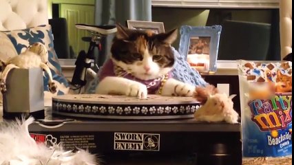 Những màn dance bá đạo của các bé