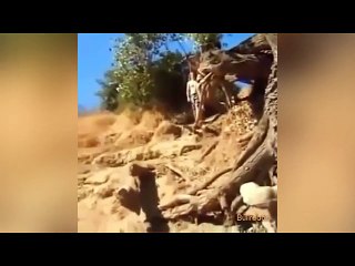 27/7 - Hot girl bị sóng đánh té dập mặt