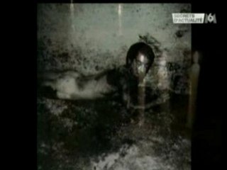 Hommage au roi des voleurs