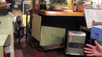 17/7- chú khỉ phục vụ ở quán nhật