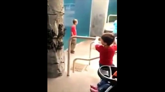 Ngộ nghĩnh hình ảnh cá voi trắng khổng lồ đùa giỡn cùng các bé