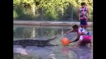 Đừng đùa giỡn với cá sấu