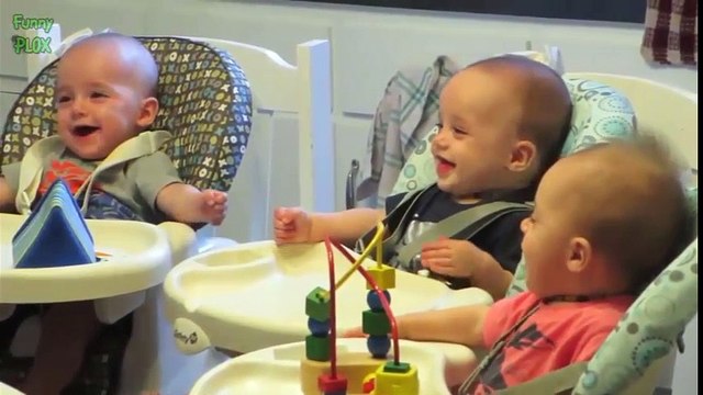 Tan chảy với hình ảnh của những bé sinh 3 ngộ nghĩnh