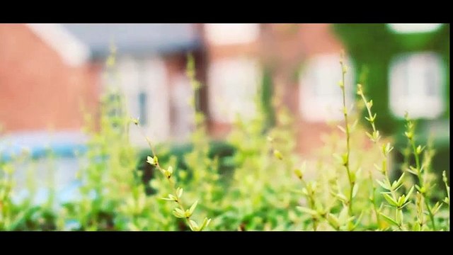 Đám cưới - Tổng hợp những clip phóng sự cưới đẹp ngất ngây (phần 1)