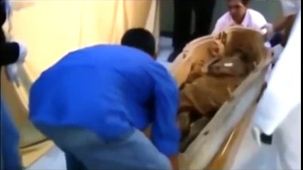 Bí ẩn xác ướp từ 3000 năm trước (phần 1)