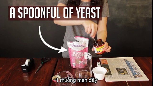 Bẫy bắt côn trùng và muỗi ngoài trời hoàn toàn tự nhiên