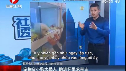 Clip vui - Chú chó mê gái