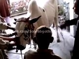 Jahil Kasai Angry Bull Qurbani - eid ul azha