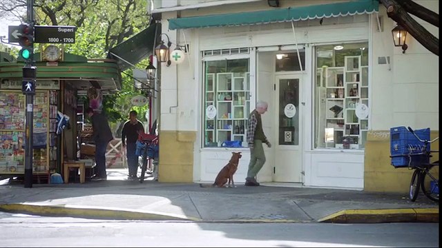 Clip chú chó trung thành đã làm 2 triệu người rơi lệ