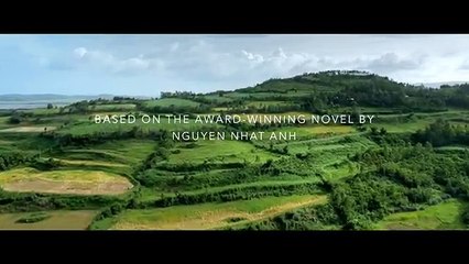 Hoa vàng trên cỏ xanh trailer