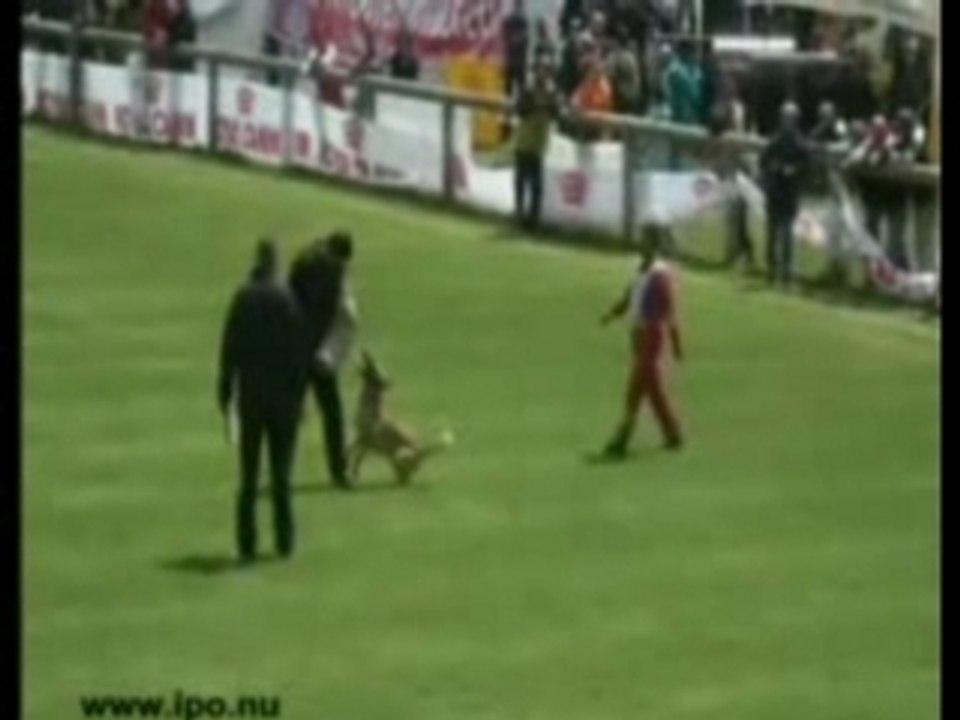 Carlos von Watzdorf - Belgier WM Le Touquet 2007