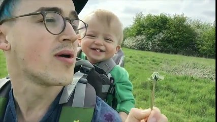 Buzz and the dandelions