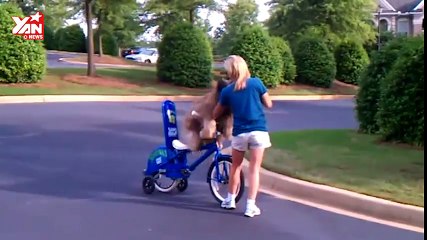 Dog riding a bike
