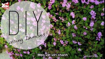 3 Beneficial Beauty DIY Using Lemons