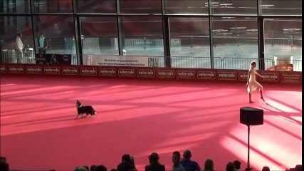 OEC 2014 - Dogdance Freestyle - Sandra & Lizzy