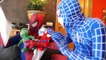 Spiderman Prank vs Frozen Elsa & Joker w_ King Kong, Spiderbaby, Princess Anna & Funny SUperhero-t0pHUS3ZbgM part 10