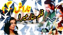 Film Star Meera Aur Pakistani Cricketer Muhammad Amir Wedding Fights - میرا اور عامر نارازگئ