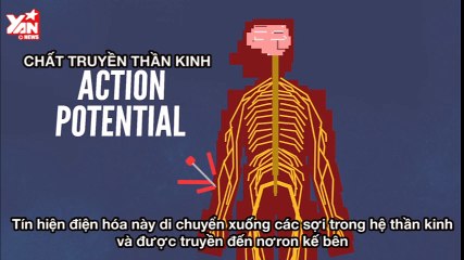 Why Does Your Foot Fall Asleep?