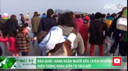 Biển tự tách đôi tại Hàn Quốc