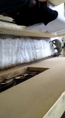 Cat Drinking Milk Infront Of House Owner