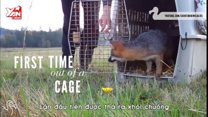 First taste of freedom