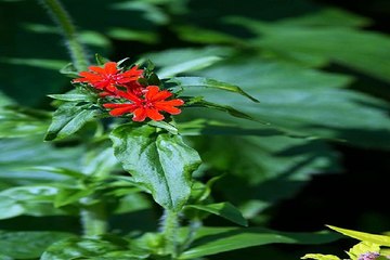 창원고액알바,가라오케알바↔찜알바↔창원알바,귀족알바