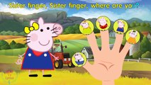 #Peppa Pig #Hello Kitty #Peppa Pig Family #Finger Family Song Nursery Rhyme Lyrics