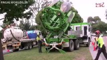 Tree Transplanting With Arborco Melbourne