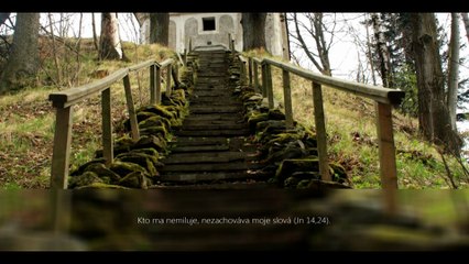 Počúvajú môj hlas Jn 10,22-30