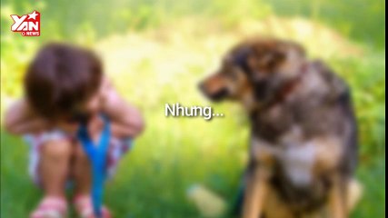 Lần đầu ăn thức ăn cho chó...