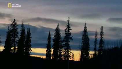 Золото Юкона 4 сезон 3 серия (2016)