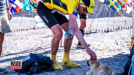 Questo cane segue un atleta per 100 km. Alla fine della maratona saranno inseparabili!