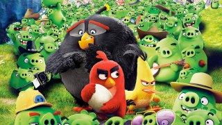 Stream The Angry Birds Movie Streaming